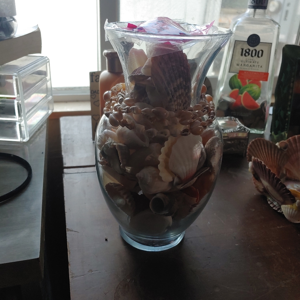 Shells - Picture 2 of 3